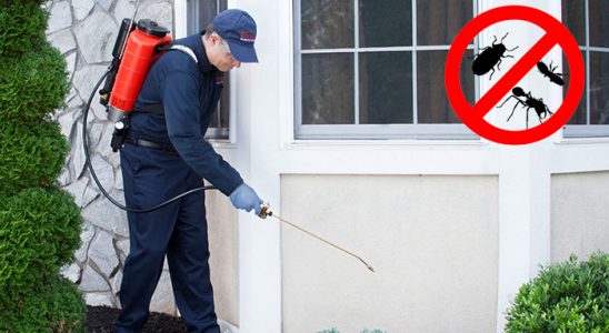 Kadınhanı Fare İlaçlama böcek ilaçlama ve haşere kontrolü — ilaclama-tr.com